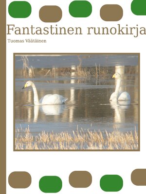 cover image of Fantastinen runokirja